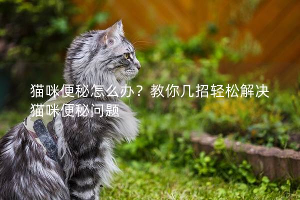 猫咪便秘怎么办？教你几招轻松解决猫咪便秘问题