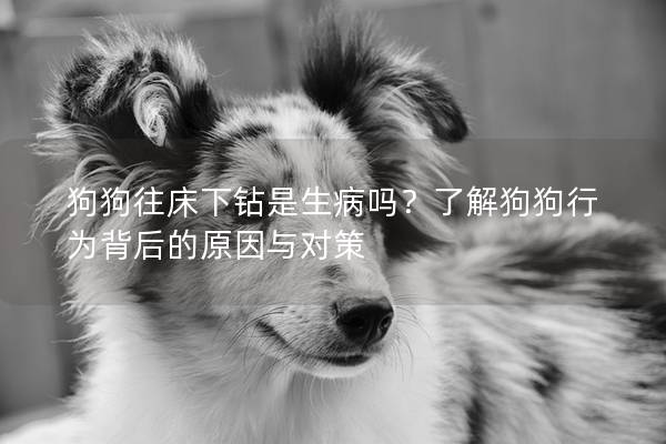 狗狗往床下钻是生病吗？了解狗狗行为背后的原因与对策