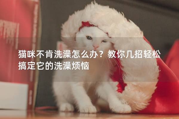 猫咪不肯洗澡怎么办？教你几招轻松搞定它的洗澡烦恼