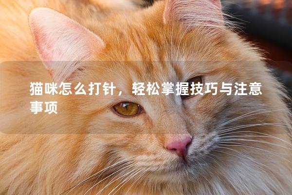 猫咪怎么打针，轻松掌握技巧与注意事项