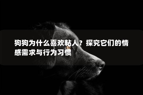 狗狗为什么喜欢粘人？探究它们的情感需求与行为习惯