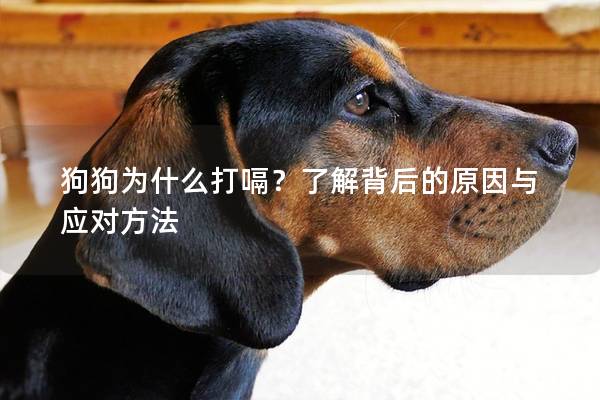 狗狗为什么打嗝？了解背后的原因与应对方法