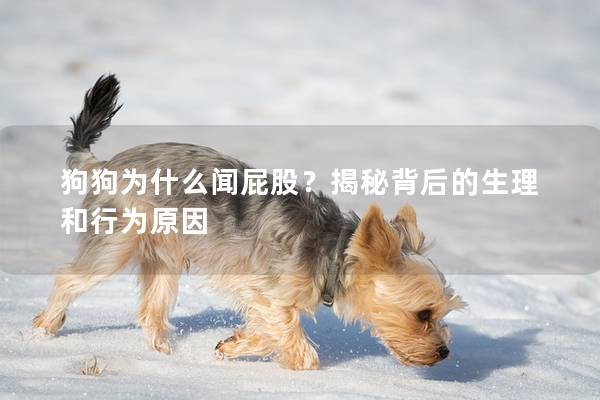 狗狗为什么闻屁股？揭秘背后的生理和行为原因