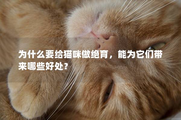 为什么要给猫咪做绝育，能为它们带来哪些好处？