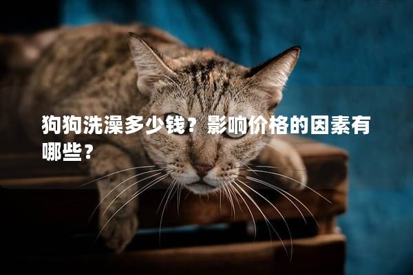 狗狗洗澡多少钱？影响价格的因素有哪些？