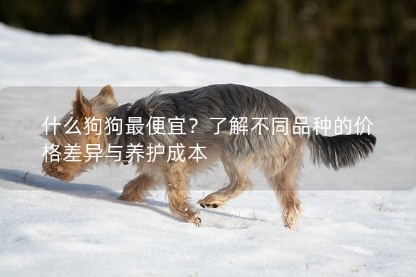 什么狗狗最便宜？了解不同品种的价格差异与养护成本