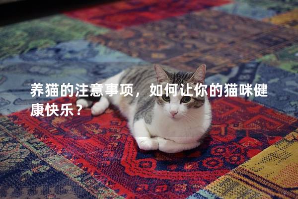 养猫的注意事项，如何让你的猫咪健康快乐？