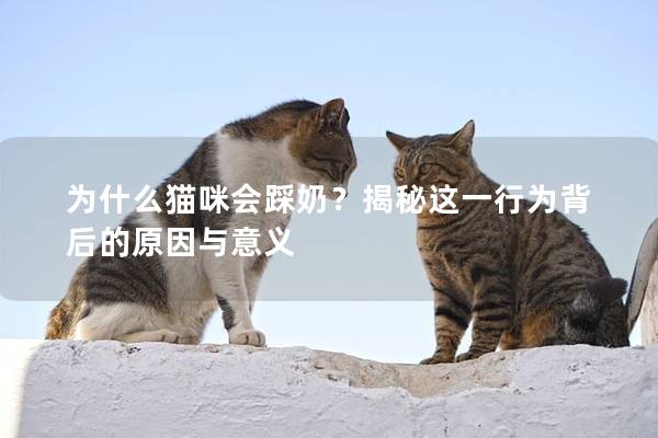 为什么猫咪会踩奶？揭秘这一行为背后的原因与意义