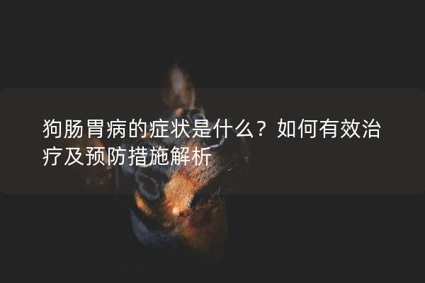 狗肠胃病的症状是什么？如何有效治疗及预防措施解析