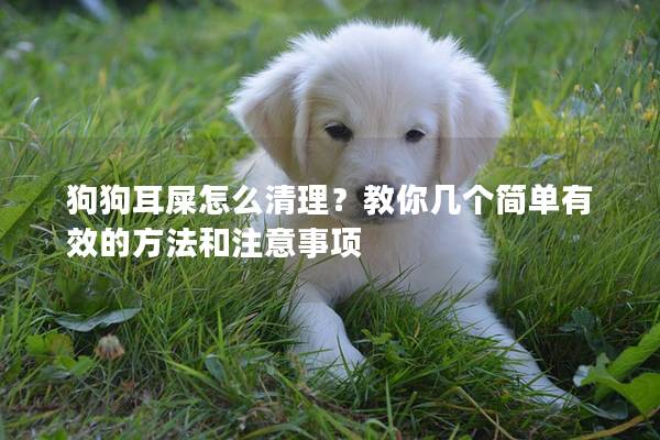 狗狗耳屎怎么清理？教你几个简单有效的方法和注意事项