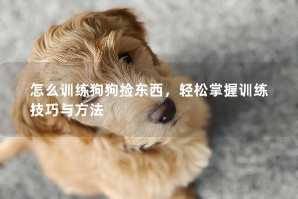 怎么训练狗狗捡东西，轻松掌握训练技巧与方法