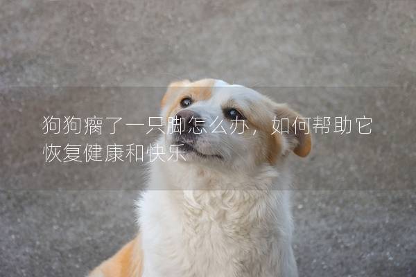 狗狗瘸了一只脚怎么办，如何帮助它恢复健康和快乐