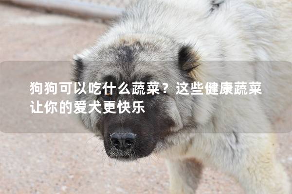 狗狗可以吃什么蔬菜？这些健康蔬菜让你的爱犬更快乐