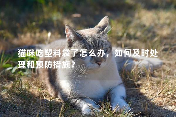 猫咪吃塑料袋了怎么办，如何及时处理和预防措施？