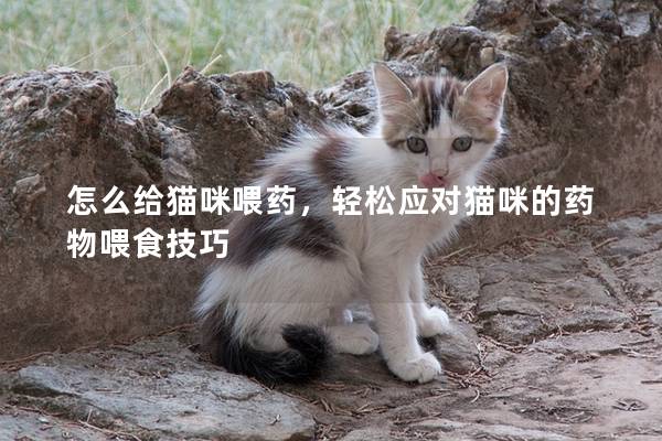 怎么给猫咪喂药，轻松应对猫咪的药物喂食技巧