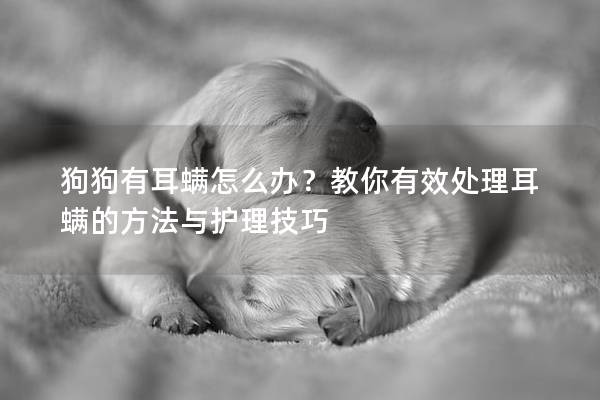 狗狗有耳螨怎么办？教你有效处理耳螨的方法与护理技巧