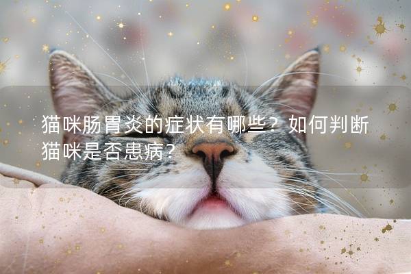 猫咪肠胃炎的症状有哪些？如何判断猫咪是否患病？