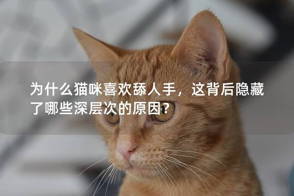 为什么猫咪喜欢舔人手，这背后隐藏了哪些深层次的原因？