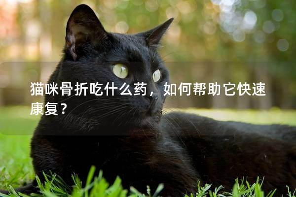 猫咪骨折吃什么药，如何帮助它快速康复？