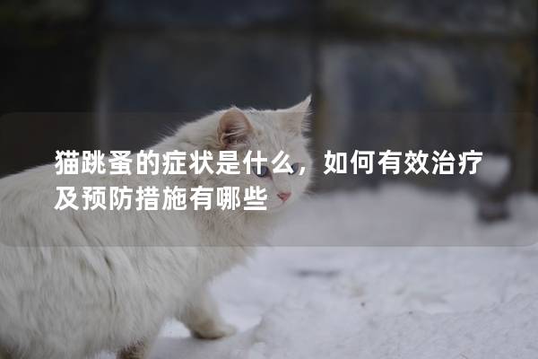 猫跳蚤的症状是什么，如何有效治疗及预防措施有哪些