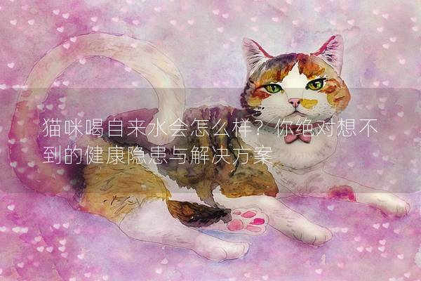 猫咪喝自来水会怎么样？你绝对想不到的健康隐患与解决方案