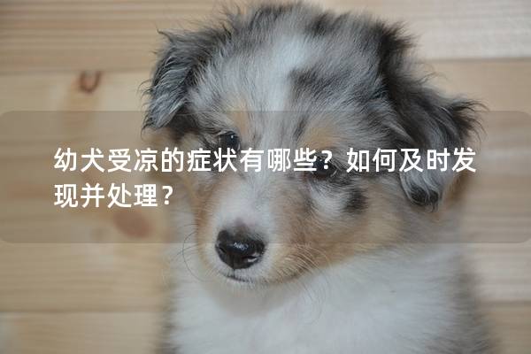 幼犬受凉的症状有哪些？如何及时发现并处理？