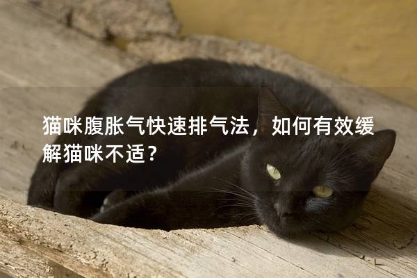 猫咪腹胀气快速排气法，如何有效缓解猫咪不适？