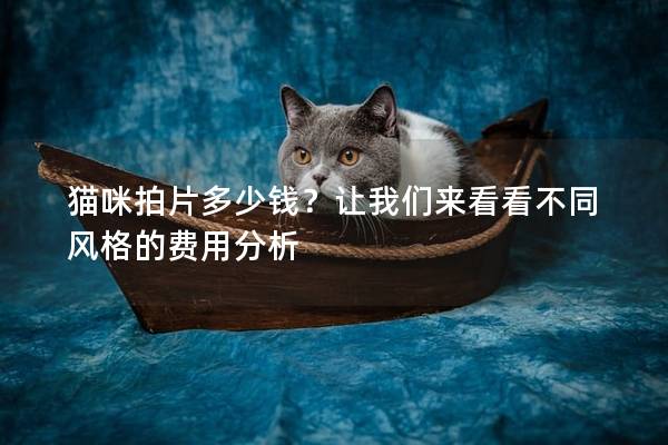 猫咪拍片多少钱？让我们来看看不同风格的费用分析