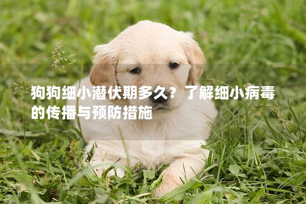 狗狗细小潜伏期多久？了解细小病毒的传播与预防措施