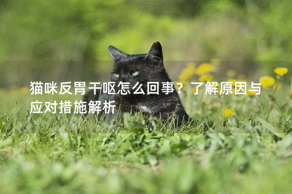 猫咪反胃干呕怎么回事？了解原因与应对措施解析