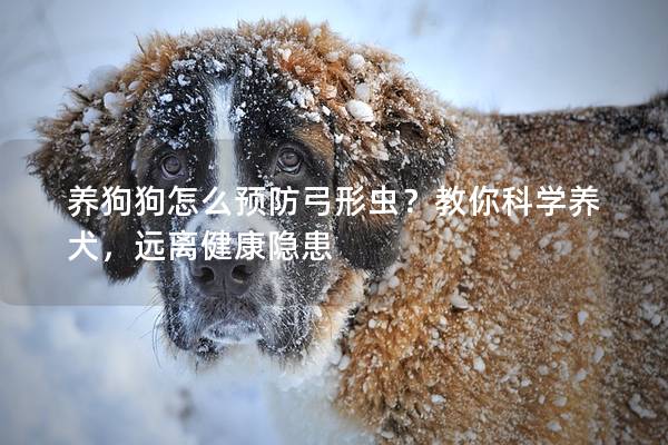 养狗狗怎么预防弓形虫？教你科学养犬，远离健康隐患