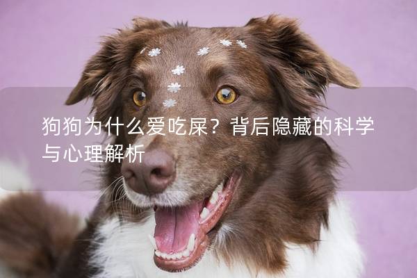 狗狗为什么爱吃屎？背后隐藏的科学与心理解析