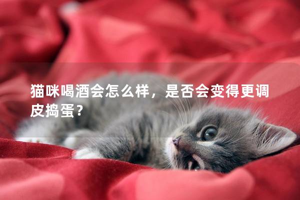 猫咪喝酒会怎么样，是否会变得更调皮捣蛋？