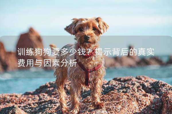 训练狗狗要多少钱？揭示背后的真实费用与因素分析