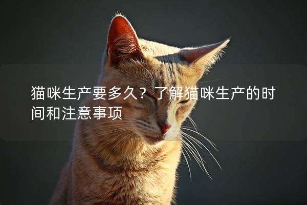 猫咪生产要多久？了解猫咪生产的时间和注意事项