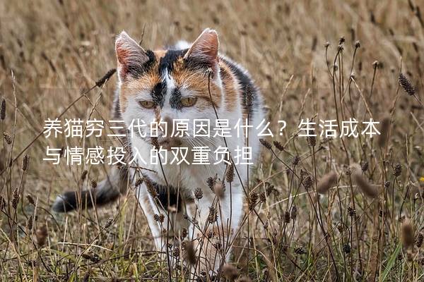 养猫穷三代的原因是什么？生活成本与情感投入的双重负担