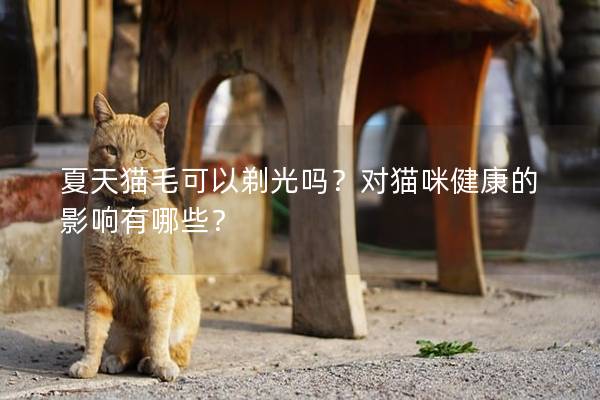 夏天猫毛可以剃光吗？对猫咪健康的影响有哪些？