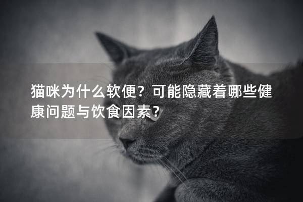 猫咪为什么软便？可能隐藏着哪些健康问题与饮食因素？