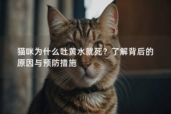 猫咪为什么吐黄水就死？了解背后的原因与预防措施