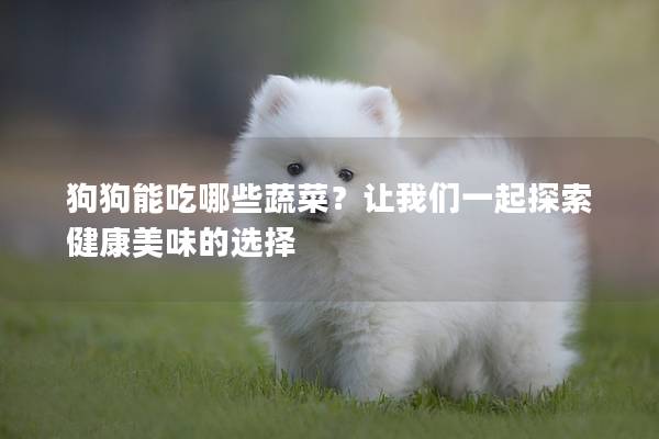 狗狗能吃哪些蔬菜？让我们一起探索健康美味的选择