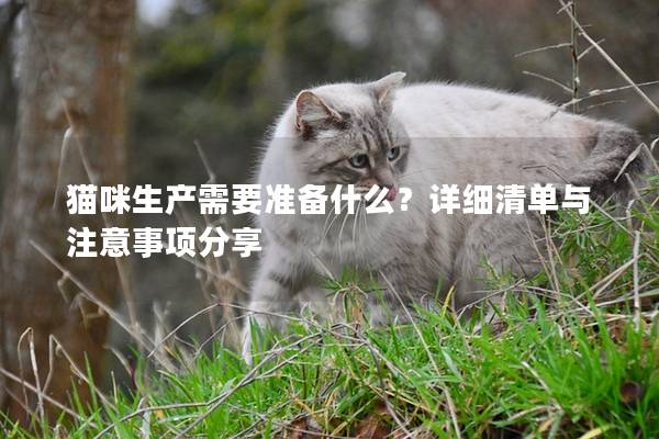 猫咪生产需要准备什么？详细清单与注意事项分享