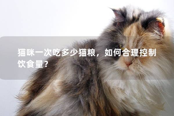 猫咪一次吃多少猫粮，如何合理控制饮食量？