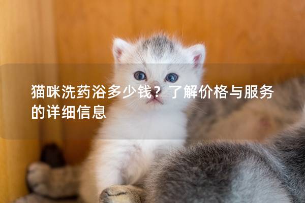 猫咪洗药浴多少钱？了解价格与服务的详细信息