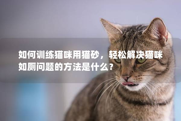 如何训练猫咪用猫砂，轻松解决猫咪如厕问题的方法是什么？