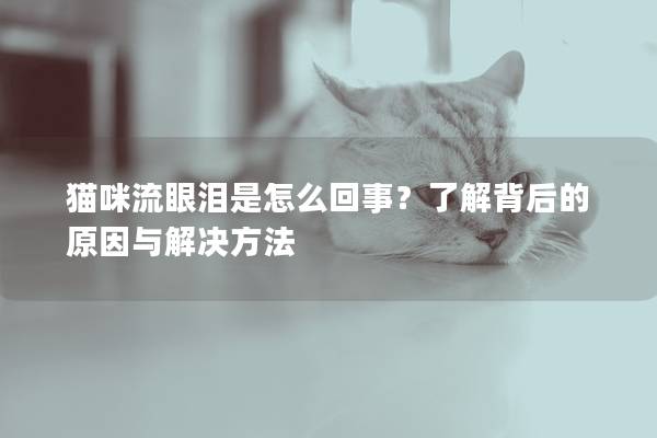 猫咪流眼泪是怎么回事？了解背后的原因与解决方法