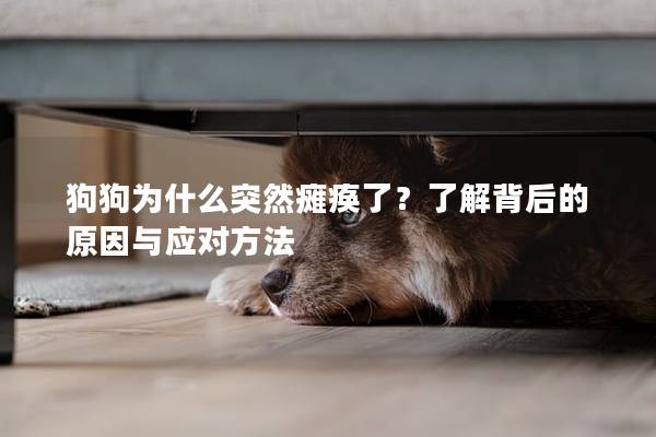 狗狗为什么突然瘫痪了？了解背后的原因与应对方法