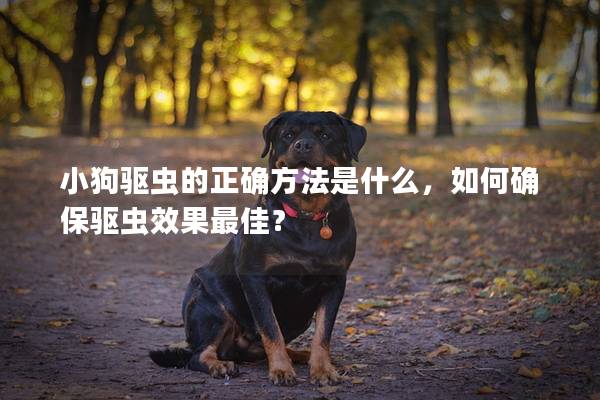 小狗驱虫的正确方法是什么，如何确保驱虫效果最佳？