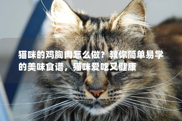 猫咪的鸡胸肉怎么做？教你简单易学的美味食谱，猫咪爱吃又健康