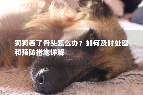 狗狗吞了骨头怎么办？如何及时处理和预防措施详解