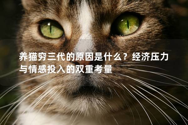 养猫穷三代的原因是什么？经济压力与情感投入的双重考量